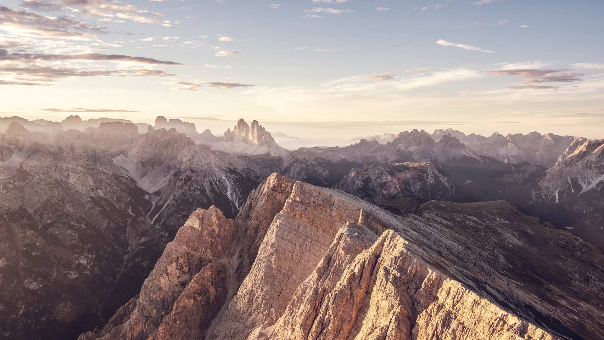 Action Days in autumn - 5=4
